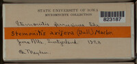 Image Associated With the Occurence